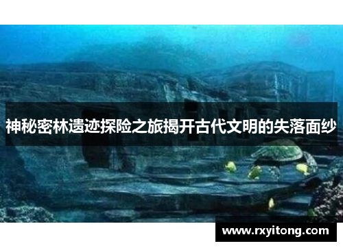 神秘密林遗迹探险之旅揭开古代文明的失落面纱 神秘密林遗迹探险之旅揭开古代文明的失落面纱